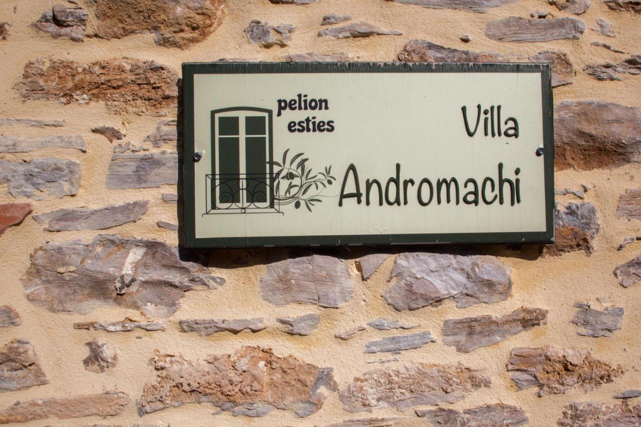 Villa Andromachi By Pelion Esties Ano Gatzea Экстерьер фото